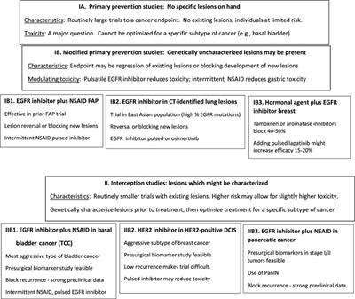 Major hurdles to the use of tyrosine kinase inhibitors in clinical prevention/interception studies: Do preclinical studies with EGFR inhibitors suggest approaches to overcome some of the limitations